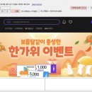 저팔계 - 장흥군 | 저팔계