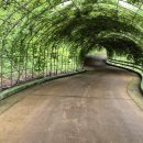 돌리네습지 초소 이미지