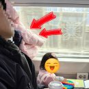 동요와 함께하는 책 놀이(B) | 설날 아이 둘과 새마을호 타기! 좌석 배치부터 2시간 반 순삭 놀이법까지 (용산-대천)