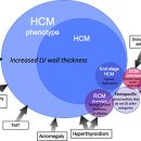 그레이스 고양이 병원 이미지