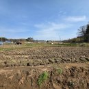 대장부동산공인중개사사무소 이미지