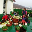 멤버스클럽 이미지