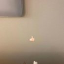 얼큰이네 이미지