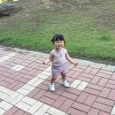 타이니스텝 신발 삐삐 16개월 걸음마 후기