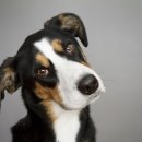 왕초보영어회화 이미지