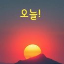 로타리다방 이미지