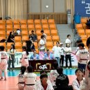 어룡태권도 이미지