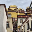 여강고등학교 | 중국 운남성 여행 (2) 샹그릴라 송찬림사, 여강고성 (리장)