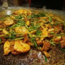 황금오리 이미지