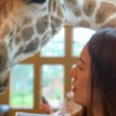 기린사우나 이미지