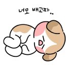 강이네펫샵 네이버블로그