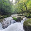 휴양림약수 이미지