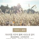 하나님의 교회는 결코 무너질 수 없는 진리 교회 (하나님의 교회 세계복음선교협회) 이미지