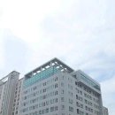 더샤인행정사사무소 네이버블로그