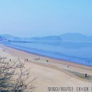 대부해솔길 1코스 이미지