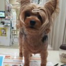 기린동물병원 이미지