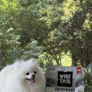 호키소프트 이미지