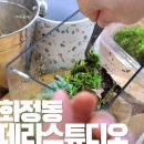 광주테라리움 만들기, 이색체험 데이트로 딱! 데라스튜디오 클래스