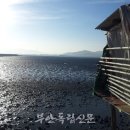 모정의 바다 이미지