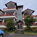 팽성대교길 이미지