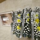 밀려오네서울재활의학과 | 마음을 잇는 정직한 애도, 마곡 이대서울병원 장례식장 근조화환 배송 후기 (서울의대 재활의학과 배송)