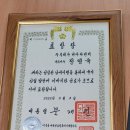 비아다빈치 이미지