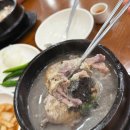 백년인삼농산 | 부산동래삼계탕 온천장삼계탕 백년백세토종삼계탕 ㅣ 고소한 흑임자삼계탕 깔끔담백한 전통삼계탕 후기