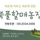 레인보우캐슬리조트 이미지