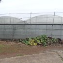 토산초등학교 이미지