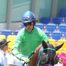 경마공원 이미지