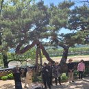 4월 엠마우스(화천서원, 부용대, 하회마을) 다녀 왔습니다. 이미지