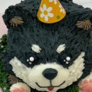 수진이네가게 이미지