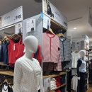 명성테크 | 유니클로 신상 후기 포인텔 가디건 립헨리넥 티셔츠 가격 컬러/ 유니클로 코디추천