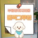 폴짝그루밍 이미지