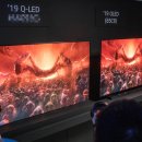 LG 올레드 (OLED), QLED 디스플레이 기술설명회 후기
