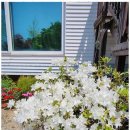 태안힐링캠프 이미지