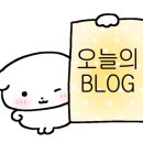 네일윰 - 동구 수정중로 28 | 네일윰