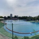 도그베이 이미지