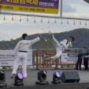 해광경희대태권도 이미지