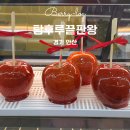 안산디저트맛집 탕후루끝판왕 와동점 레몬탕후루, 링고아메 후기