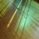 햇빛마루 이미지