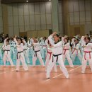 어룡태권도 이미지