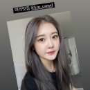 크리에이티브팀카멜
