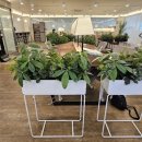 작심 스터디카페 부천중동 이미지