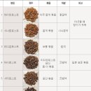 별커피 이미지