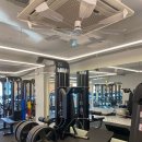 머슬베어pt 신길점 이미지