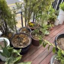 다온이상점 이미지