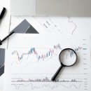 세무회계고담