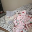 매트릭스헬스클럽 이미지