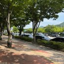 미술관노래클럽 - 1837 | 2026 대구 싸이 흠뻑쇼 처음 다녀온 후기 ! (7월4일 토요일)